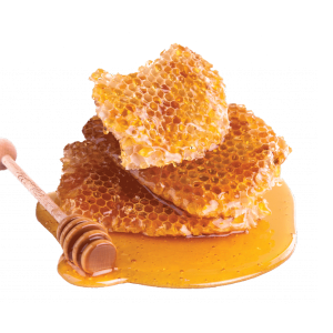 SEA HONEY
