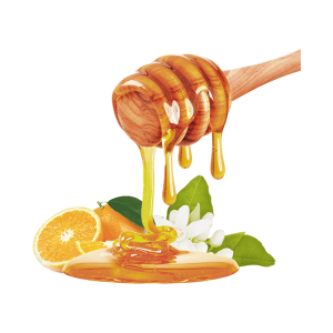 HADDAR 1 LB HONEY